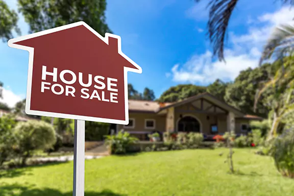 Sell property with a gopher torotise burrow